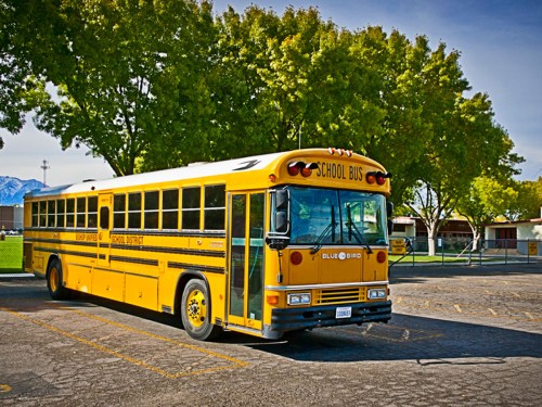 autobús escolar americano