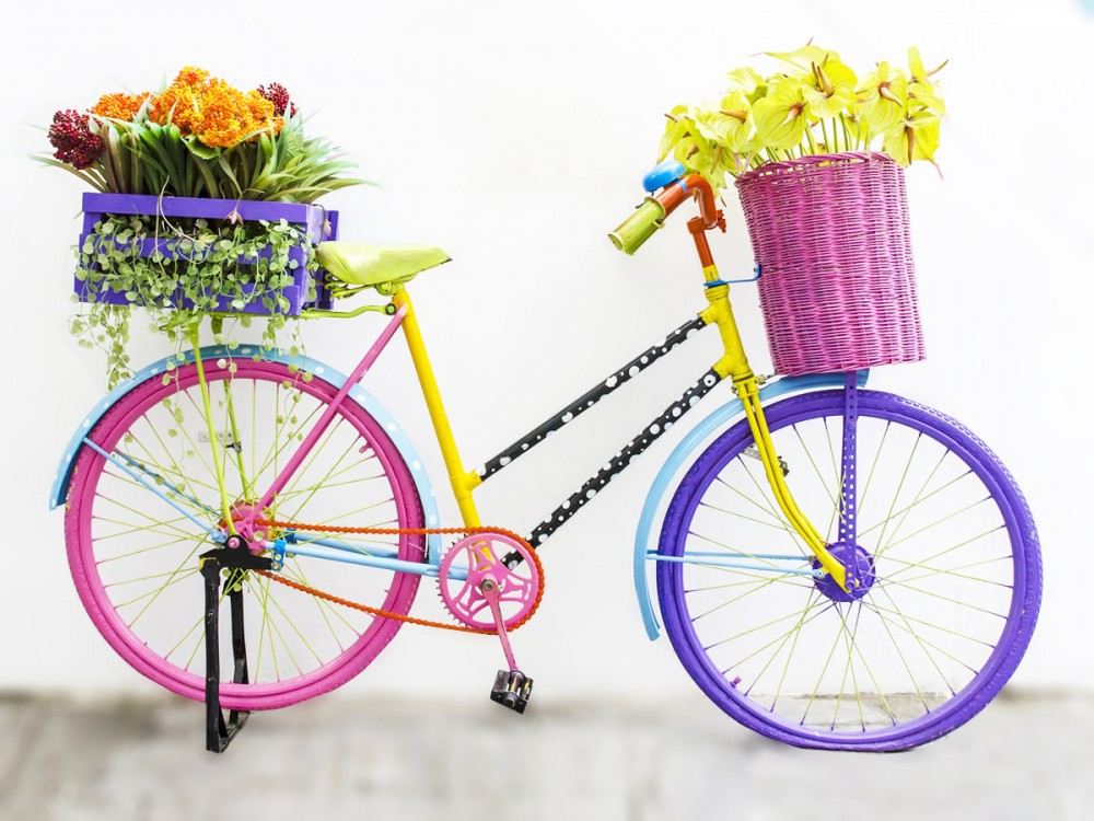 basket-bike